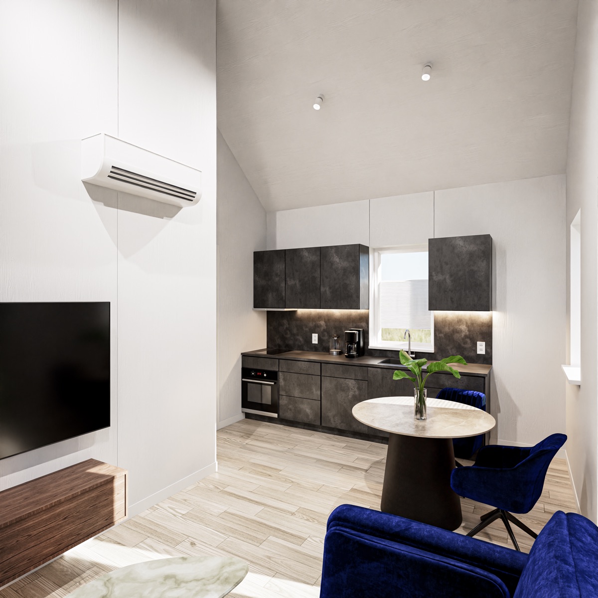 Structor 50 interieur, keuken